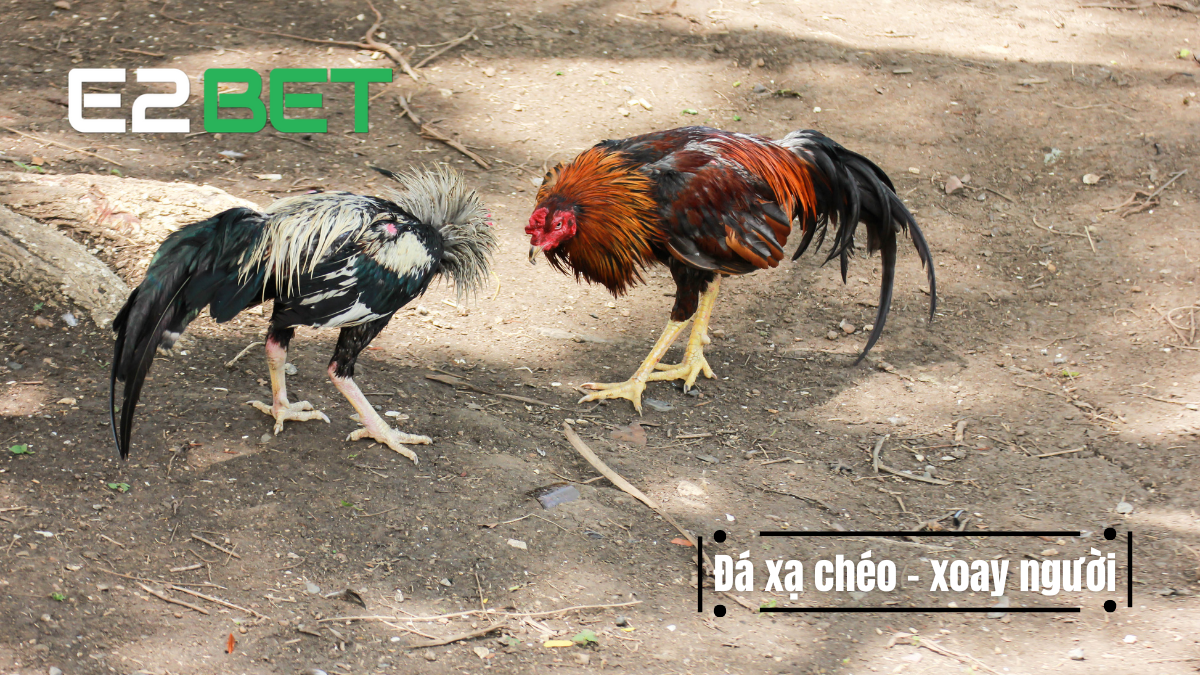 Đá xạ chéo – xoay người